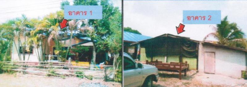 ศรีสมเด็จ สมเด็จ กาฬสินธุ์