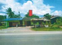 บ้านแฝดหลุดจำนอง ธ.ธนาคารอาคารสงเคราะห์ เขาวิเศษ วังวิเศษ ตรัง