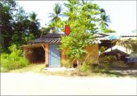 บ้านเดี่ยวหลุดจำนอง ธ.ธนาคารอาคารสงเคราะห์ สะบ้าย้อย สะบ้าย้อย สงขลา