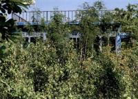 บ้านเดี่ยวหลุดจำนอง ธ.ธนาคารอาคารสงเคราะห์ นางั่ว เมืองเพชรบูรณ์ เพชรบูรณ์