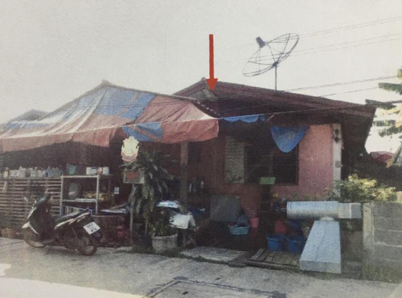 ในเมือง เมืองพิจิตร พิจิตร