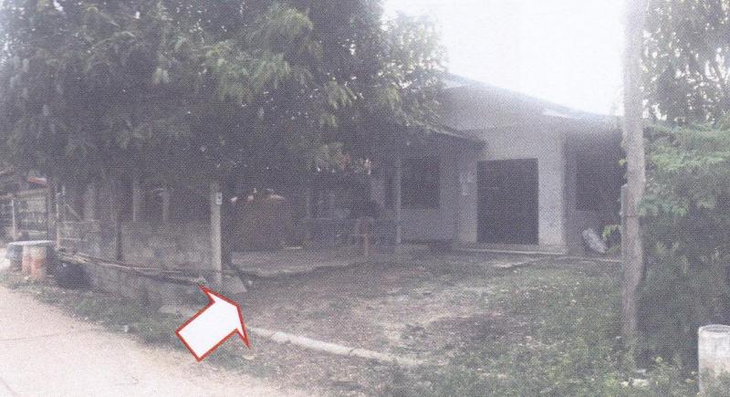 พังงู หนองหาน อุดรธานี