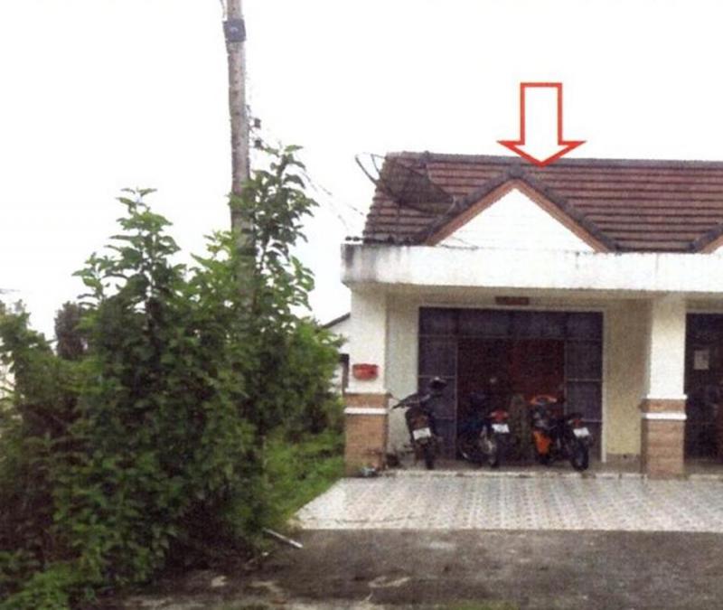 ท่ามะเดื่อ บางแก้ว พัทลุง