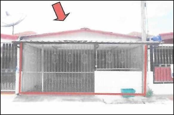 หัวเตย พุนพิน สุราษฎร์ธานี