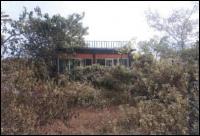 บ้านเดี่ยวหลุดจำนอง ธ.ธนาคารอาคารสงเคราะห์ นางั่ว เมืองเพชรบูรณ์ เพชรบูรณ์