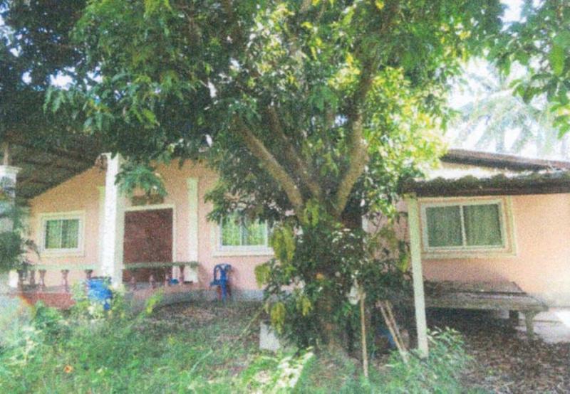 เชียงเพ็ง ป่าติ้ว ยโสธร