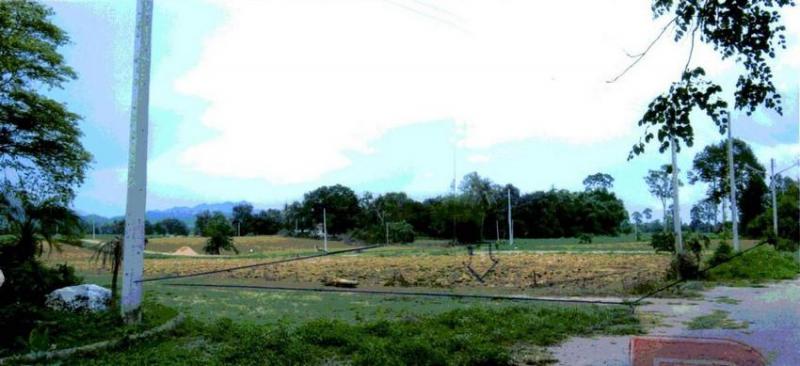 เกาะสำโรง เมืองกาญจนบุรี กาญจนบุรี