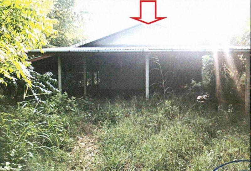 หนองหญ้าปล้อง วังสะพุง เลย