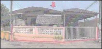 หัวเตย พุนพิน สุราษฎร์ธานี