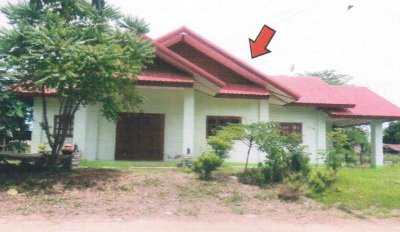 หัวงัว ยางตลาด กาฬสินธุ์