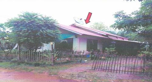 หนองตูม ภูเขียว ชัยภูมิ