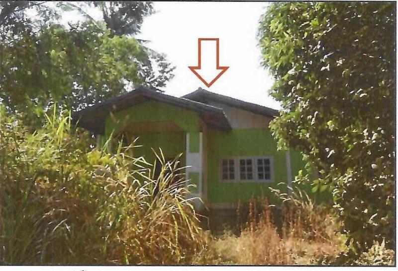 หนองยาง เฉลิมพระเกียรติ นครราชสีมา