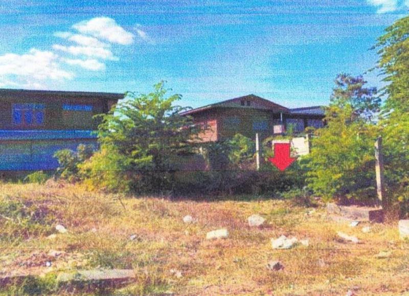 จระเข้ หนองเรือ ขอนแก่น