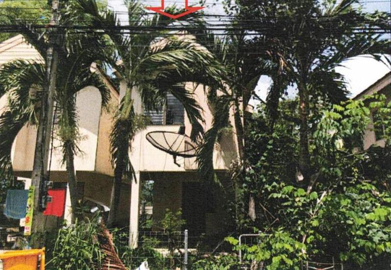 หนองบัว เมืองหนองบัวลำภู หนองบัวลำภู