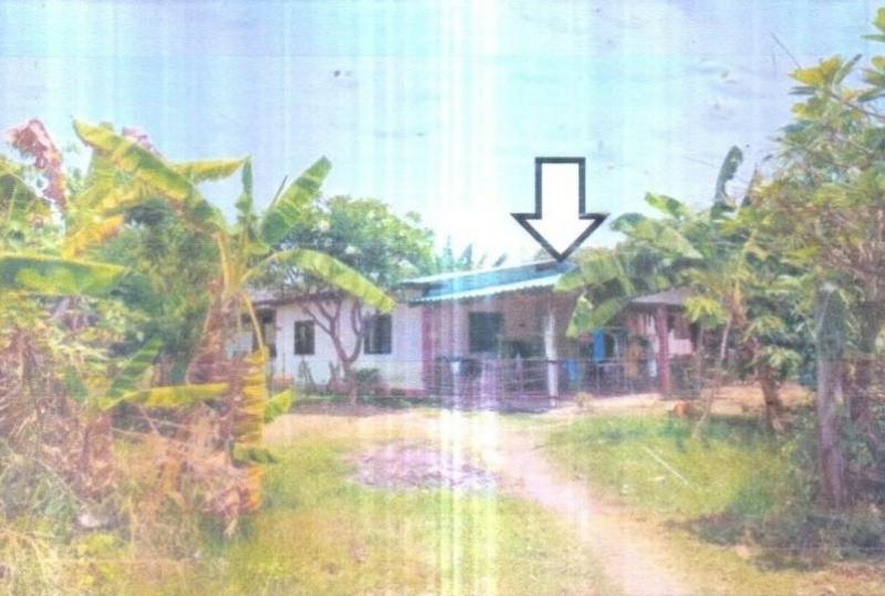 ชุมเห็ด เมืองบุรีรัมย์ บุรีรัมย์