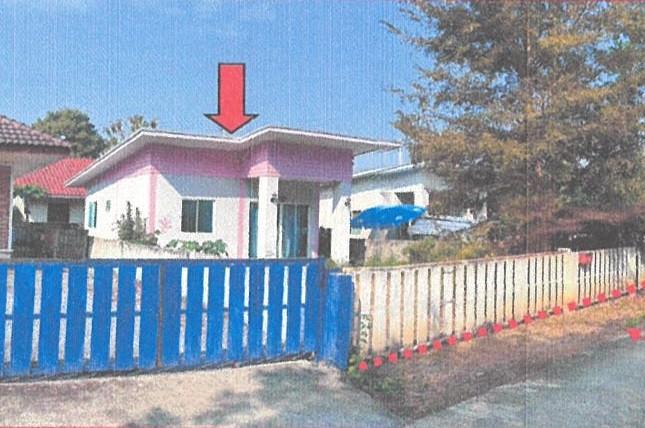 ร้องวัวแดง สันกำแพง เชียงใหม่