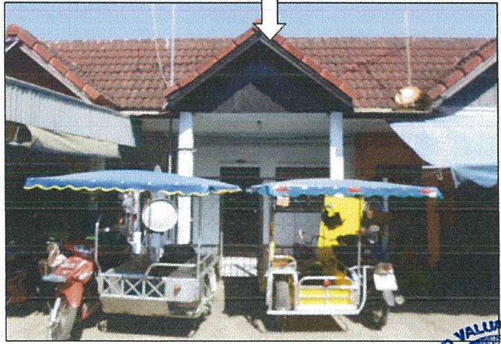 พลูตาหลวง สัตหีบ ชลบุรี