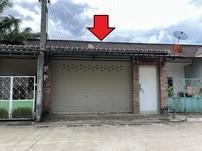 วังคีรี ห้วยยอด ตรัง