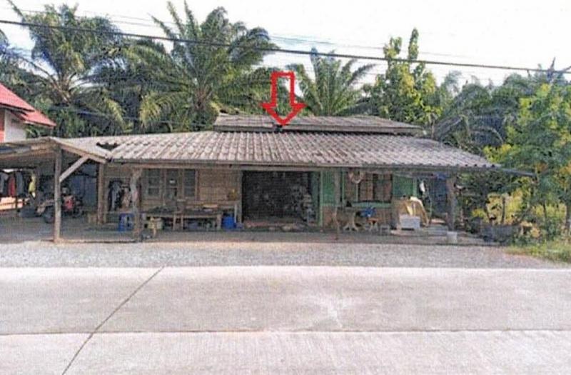 กรูด กาญจนดิษฐ์ สุราษฎร์ธานี