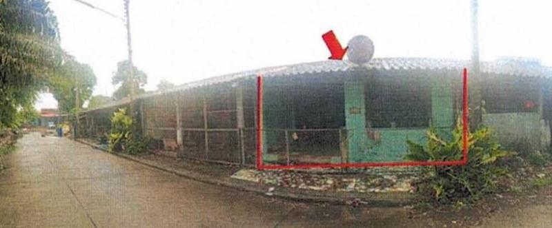 - พุนพิน สุราษฎร์ธานี