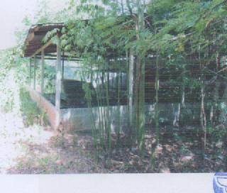 คอนสาย ตระการพืชผล อุบลราชธานี