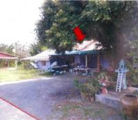 บ้านเดี่ยวหลุดจำนอง ธ.ธนาคารอาคารสงเคราะห์ กุยเหนือ กุยบุรี ประจวบคีรีขันธ์