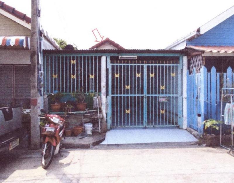 ลำผักกูด(คลองฝั่งใต้ ธัญบุรี ปทุมธานี