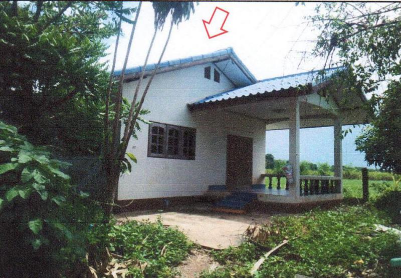 ผักปัง ภูเขียว ชัยภูมิ