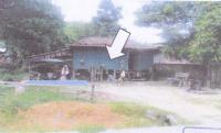 ที่ดินหลุดจำนอง ธ.ธนาคารอาคารสงเคราะห์ บาเจาะ บาเจาะ นราธิวาส