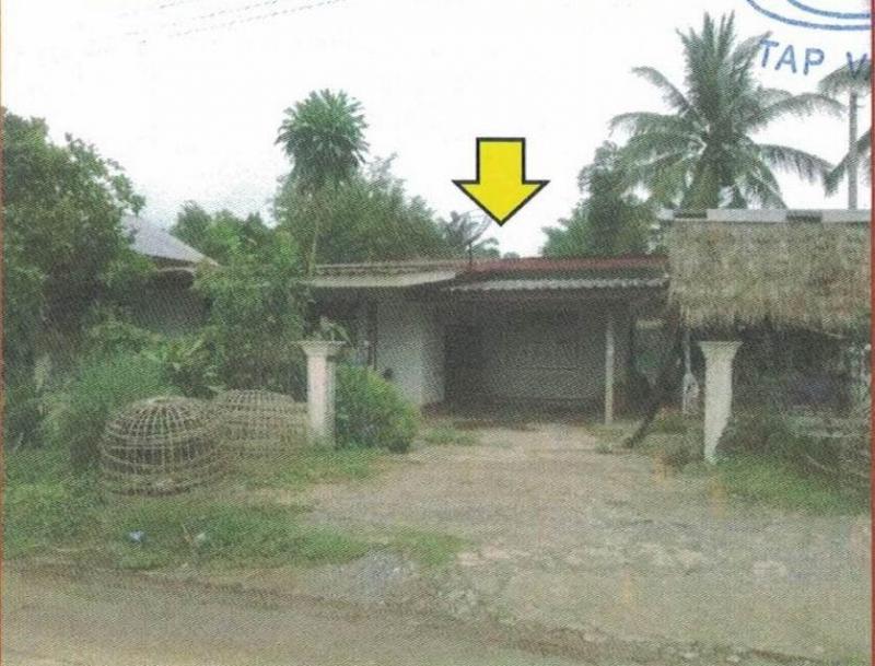 ผาตั้ง สังคม หนองคาย