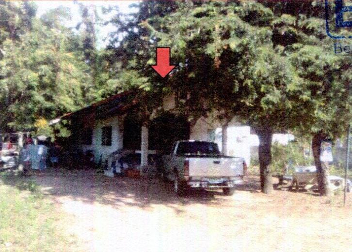 เทพาลัย คง นครราชสีมา