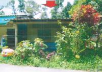 บ้านเดี่ยวหลุดจำนอง ธ.ธนาคารอาคารสงเคราะห์ ควนโดน ควนโดน สตูล