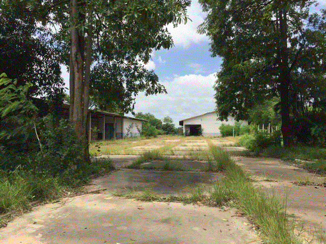 โกดังหลุดจำนอง ธ.ธนาคารกรุงเทพ บุ่ง เมืองอำนาจเจริญ อำนาจเจริญ