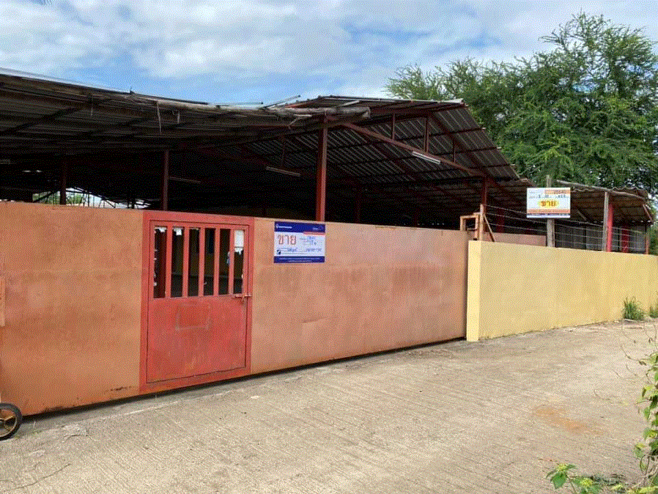 โกดังหลุดจำนอง ธ.ธนาคารกรุงเทพ สะเดียง เมืองเพชรบูรณ์ เพชรบูรณ์