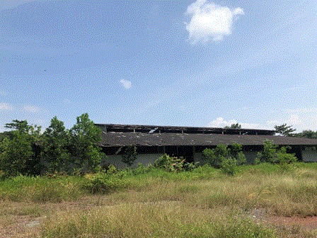 โรงงานหลุดจำนอง ธ.ธนาคารกรุงเทพ พรุพี บ้านนาสาร สุราษฎร์ธานี