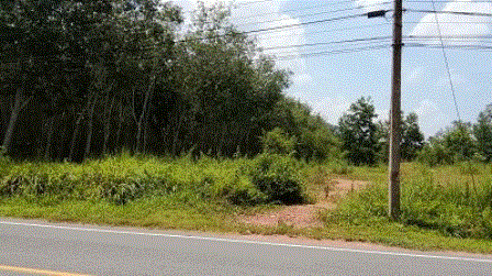 ที่ดินหลุดจำนอง ธ.ธนาคารกรุงเทพ วังใหญ่ เทพา สงขลา