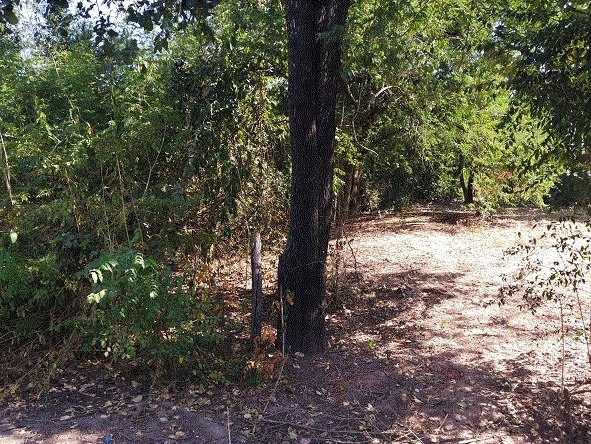 ที่ดินหลุดจำนอง ธ.ธนาคารกรุงเทพ โนนสะอาด ชุมแพ ขอนแก่น