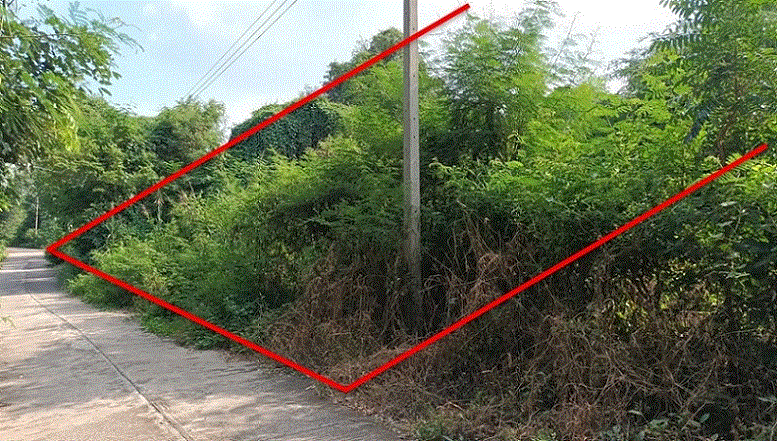 ที่ดินหลุดจำนอง ธ.ธนาคารกรุงเทพ แม่ลาด คลองขลุง กำแพงเพชร