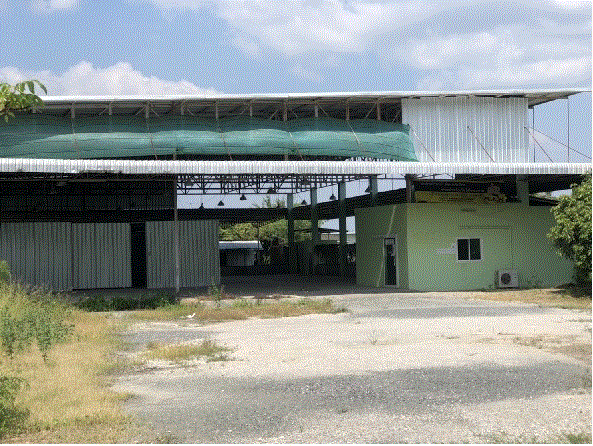 โรงงานหลุดจำนอง ธ.ธนาคารกรุงเทพ หนองแฝก สารภี เชียงใหม่