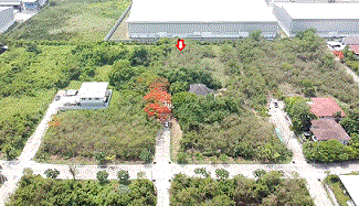 ที่ดินหลุดจำนอง ธ.ธนาคารกรุงเทพ บางโฉลง บางพลี สมุทรปราการ