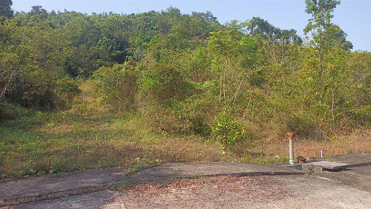 ที่ดินหลุดจำนอง ธ.ธนาคารกรุงเทพ คอหงส์ หาดใหญ่ สงขลา