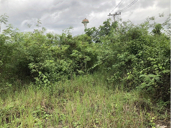 ที่ดินหลุดจำนอง ธ.ธนาคารกรุงเทพ แช่ช้าง สันกำแพง เชียงใหม่