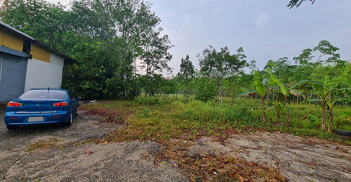 ที่ดินหลุดจำนอง ธ.ธนาคารกรุงเทพ ป่าชิง จะนะ สงขลา