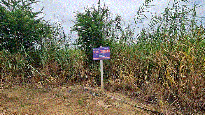 ที่ดินหลุดจำนอง ธ.ธนาคารกรุงเทพ ทับผึ้ง ศรีสำโรง สุโขทัย