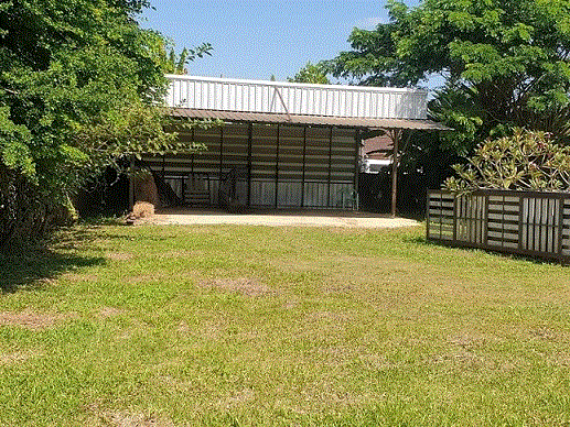 ที่ดินพร้อมสิ่งปลูกสร้าง (อื่น ๆ)หลุดจำนอง ธ.ธนาคารกรุงเทพ ริมกก เมืองเชียงราย เชียงราย