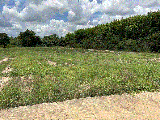 ที่ดินหลุดจำนอง ธ.ธนาคารกรุงเทพ เกาะขนุน พนมสารคาม ฉะเชิงเทรา