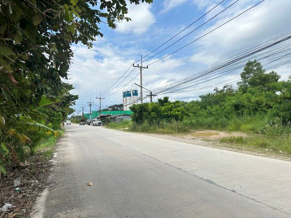 ที่ดินหลุดจำนอง ธ.ธนาคารกรุงเทพ บึงบอน หนองเสือ ปทุมธานี